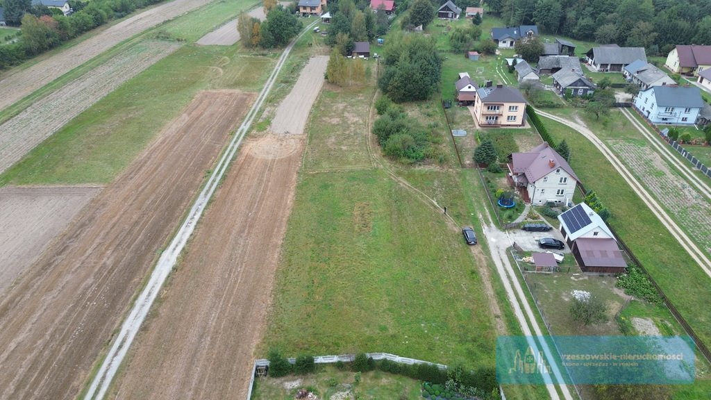 Działka budowlana na sprzedaż Krzywa  5 300m2 Foto 5