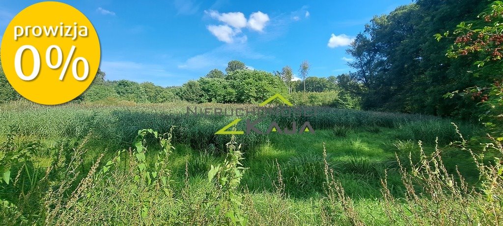 Działka siedliskowa na sprzedaż Nowe Biskupice  27 700m2 Foto 4