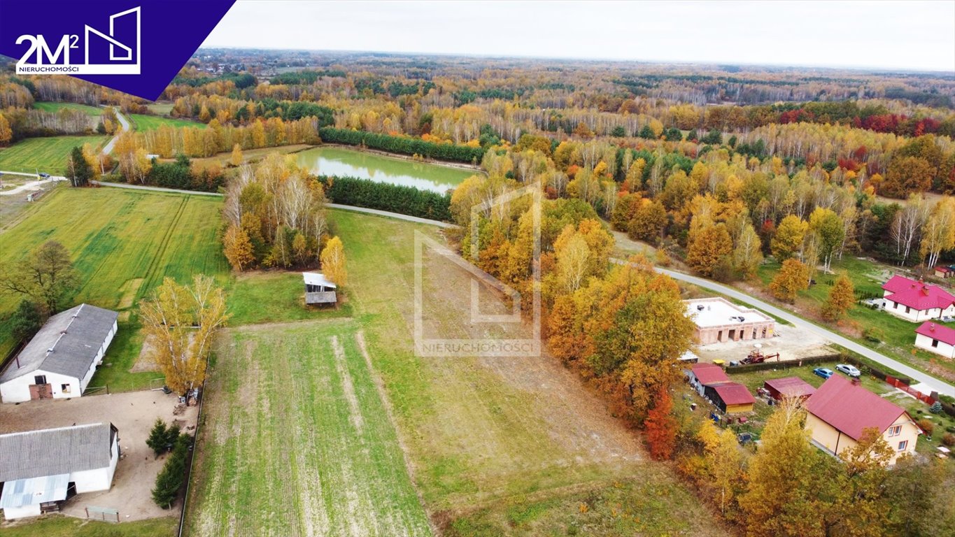 Działka budowlana na sprzedaż Ruda  13 000m2 Foto 7