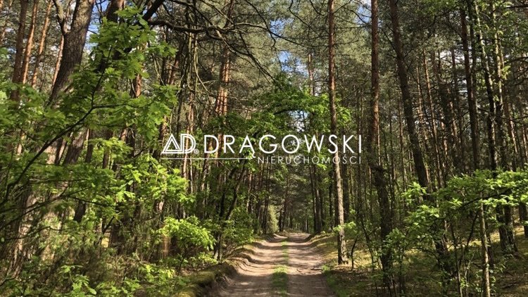 Zapraszam do zakupu działki usługowej 11 303 m² w Wildze Wilga  11 303m2 Foto 1