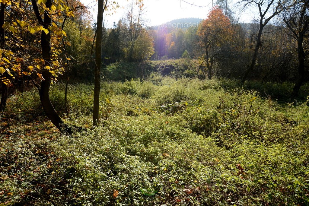 Działka budowlana na sprzedaż Ponikiew  2 846m2 Foto 7