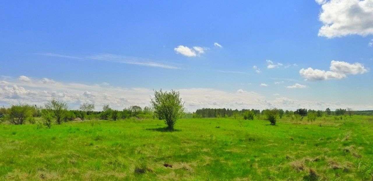 Działka rolna na sprzedaż Suwałki  36 000m2 Foto 3