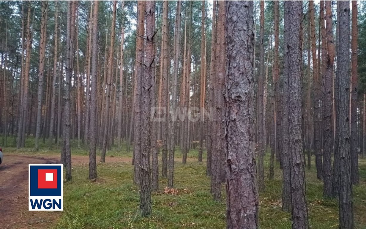 Działka budowlana na sprzedaż Żarki Letnisko, Kąpielowa  2 218m2 Foto 7