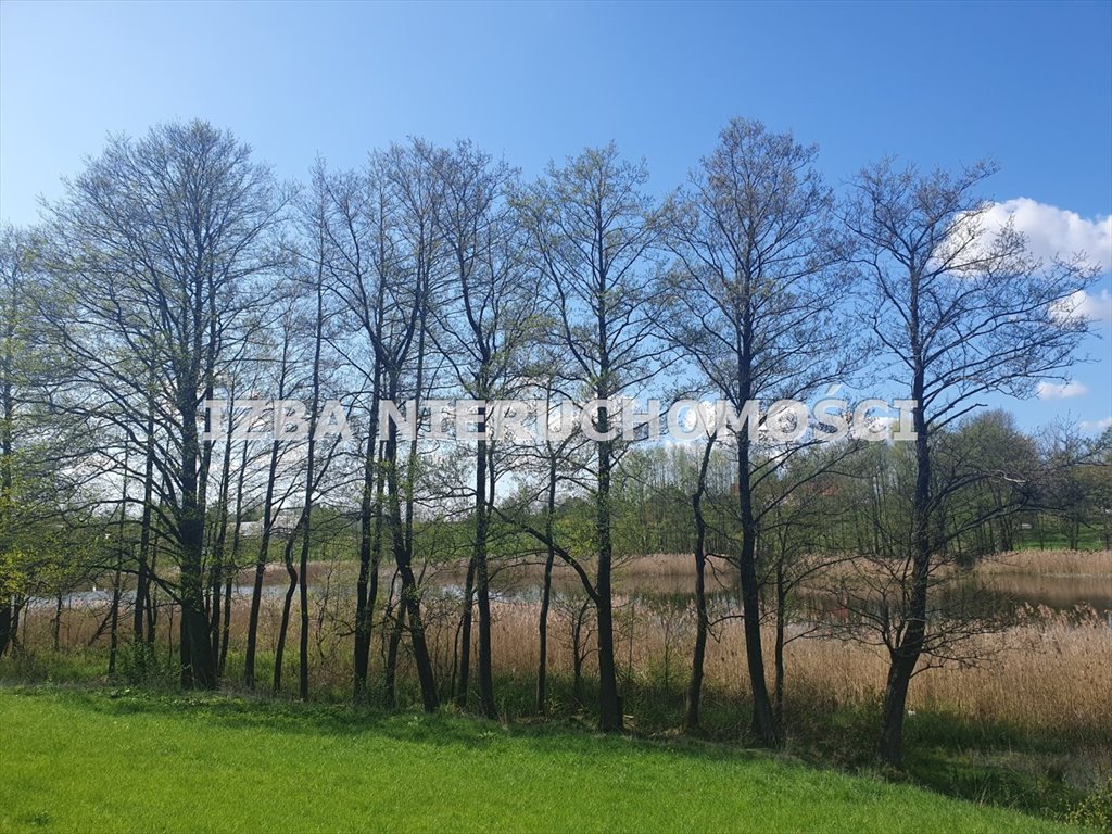 Działka rekreacyjna na sprzedaż Grabnik  3 000m2 Foto 7