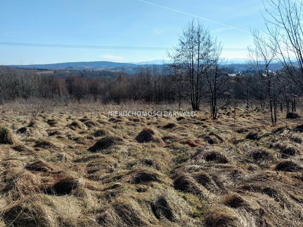 Działka inna na sprzedaż Barwałd Średni 1 900m2 Foto 1 Działka inna na sprzedaż Barwałd Średni 1 900m2 Foto 1