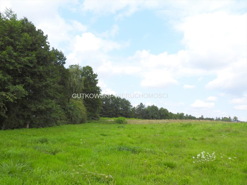 Działka rekreacyjna na sprzedaż Jamielnik  1 010m2 Foto 1