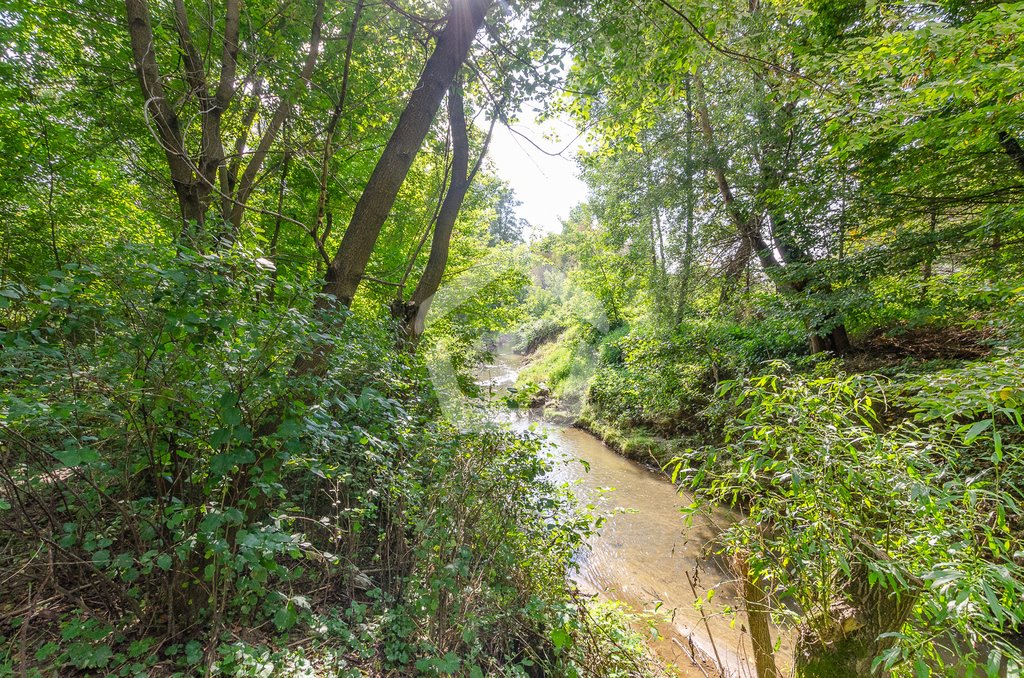 Dom na sprzedaż Kielnarowa  120m2 Foto 15