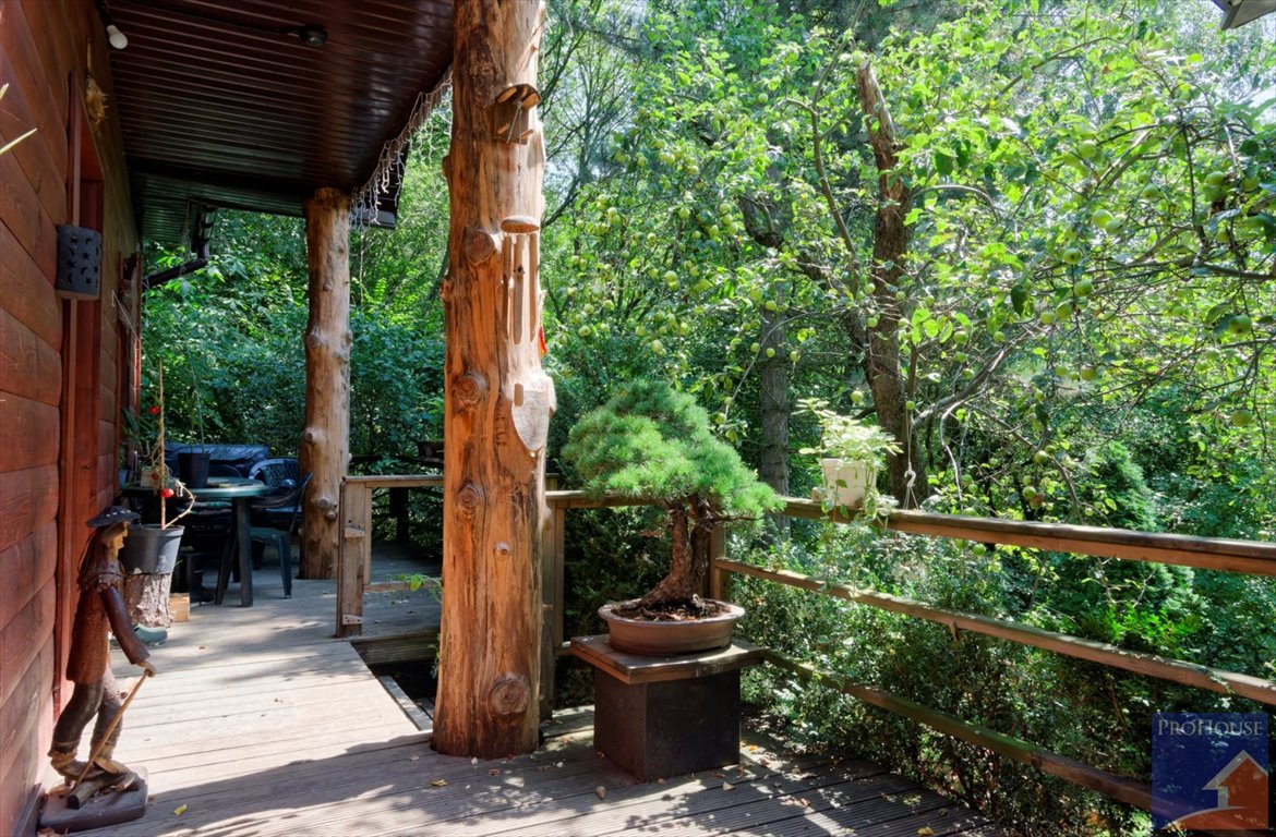 Urokliwy dom z bala po remoncie, 130 m², działka 52 arów Sowliny  130m2 Foto 1