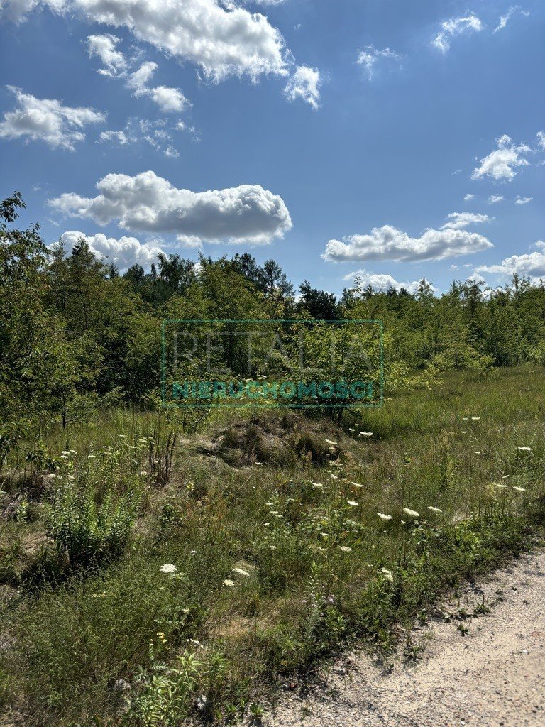 Działka budowlana na sprzedaż Jaktorów-Kolonia  2 121m2 Foto 2