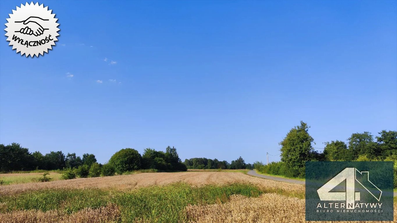 Działka budowlana na sprzedaż Szarwark  1 900m2 Foto 3