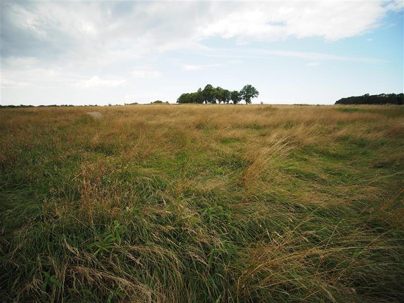 Działka inna na sprzedaż Rusinowo, 1101G  3 000m2 Foto 11