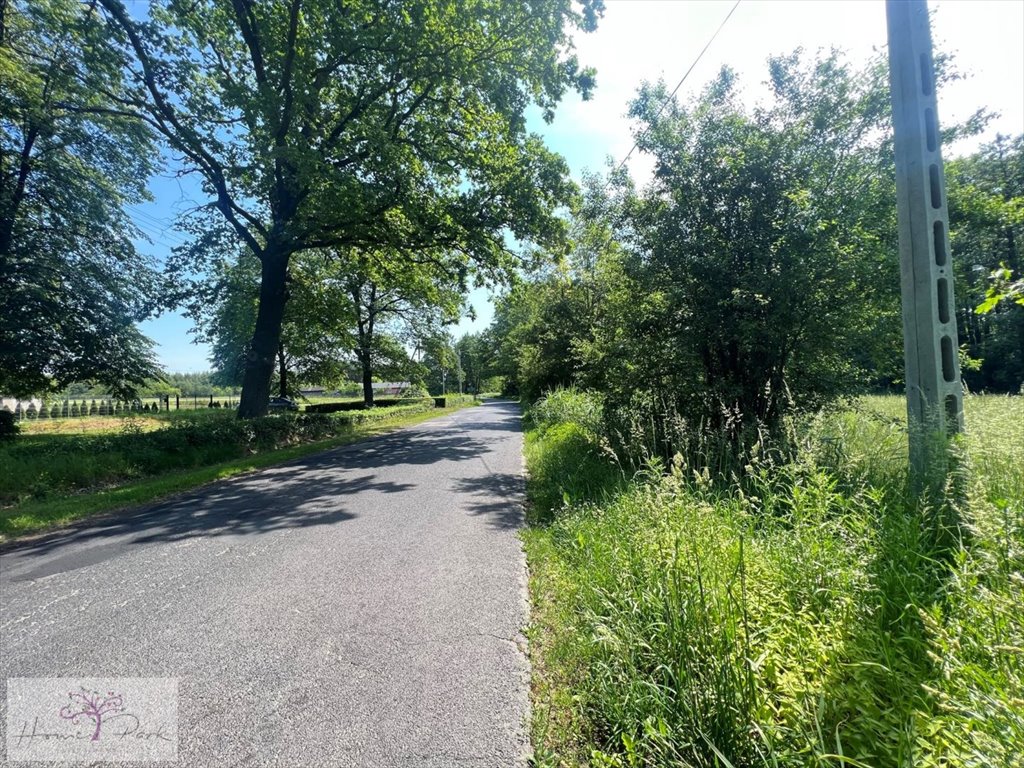 Działka budowlana na sprzedaż Piorunów, Piorunówek  5 000m2 Foto 2