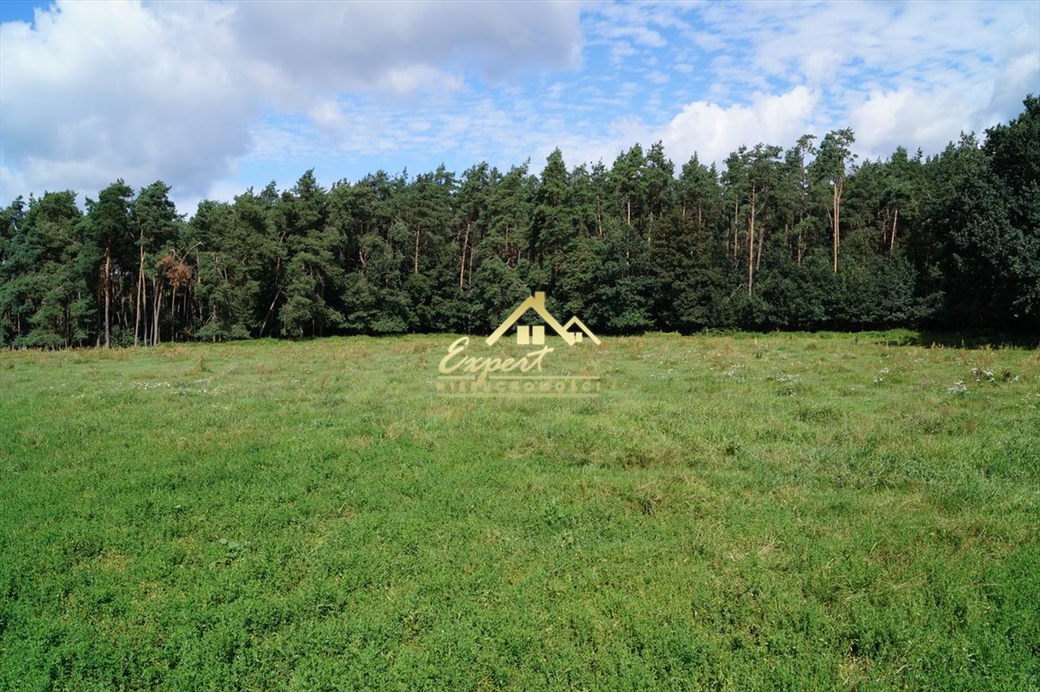 Zdjęcie 5