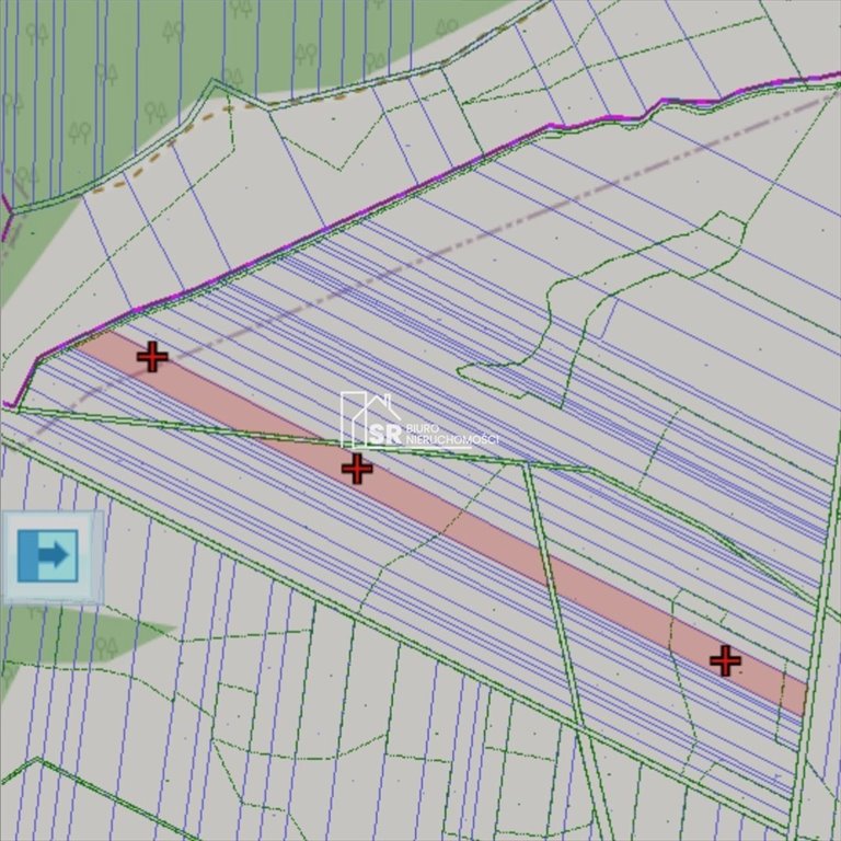 Działka rolna 1,16 ha z lasem, dojazd gruntową drogą Józefów  11 600m2 Foto 1