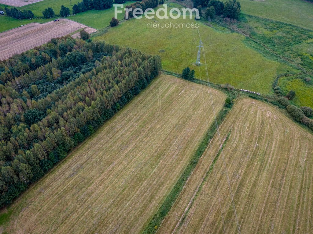 Działka rolna na sprzedaż Wrzesina  4 329m2 Foto 3