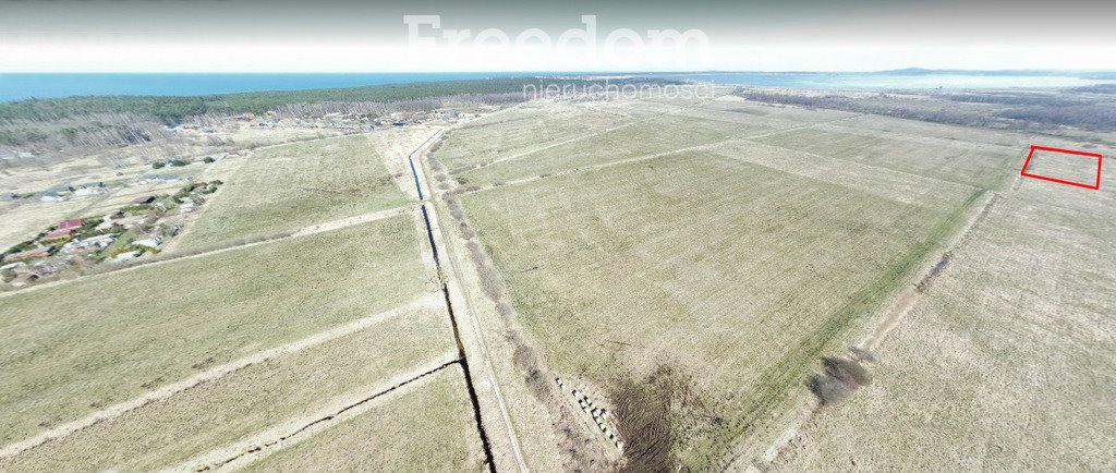 Działka rolna na sprzedaż Dębina  6 002m2 Foto 4