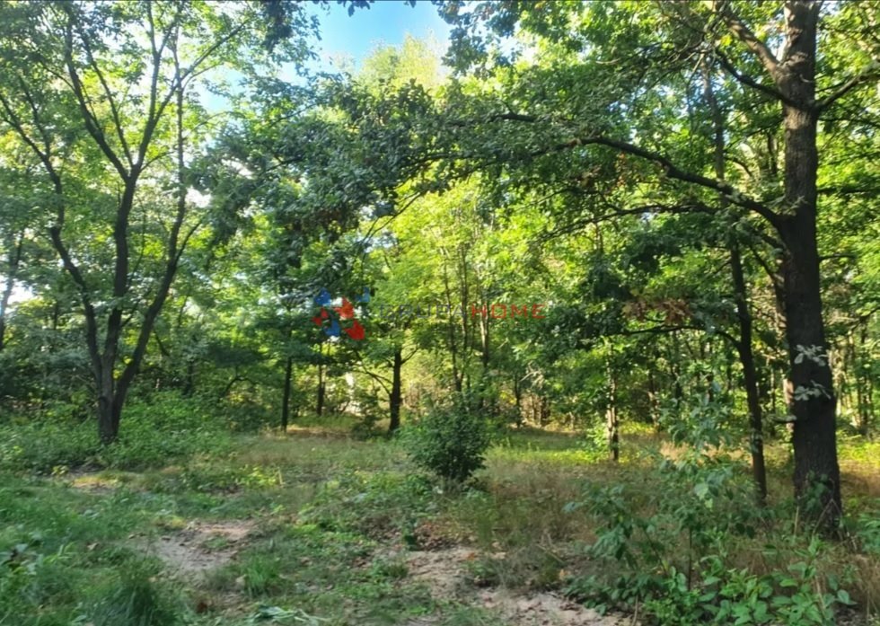 Polecam działkę 1700 m² z mediami w Zalesiu Dolnym Piaseczno, Zalesie Dolne  1 700m2 Foto 1