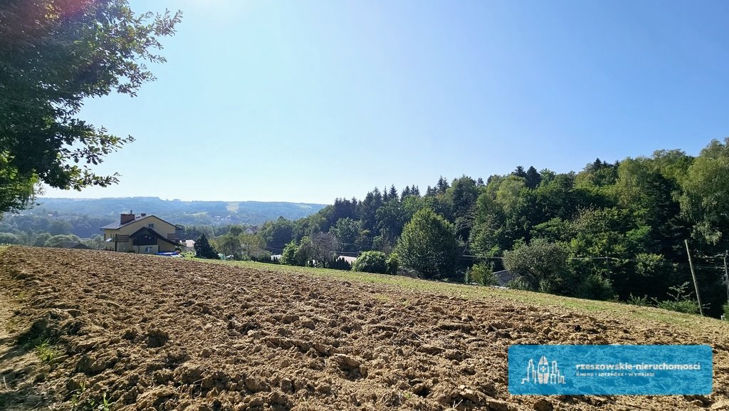 Działka budowlana na sprzedaż Glinik Zaborowski  6 000m2 Foto 1