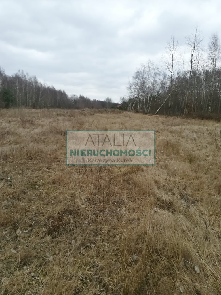 Działka 1500 m2 w Czarnym Lesie - blisko centrum. Czarny Las  1 500m2 Foto 1