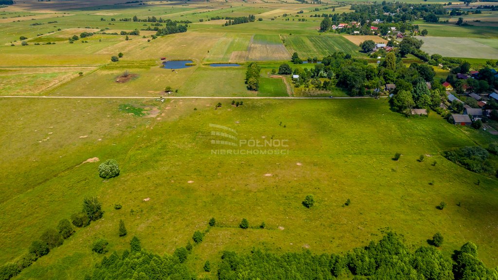 Działka rolna na sprzedaż Mieleszki-Kolonia  3 003m2 Foto 14