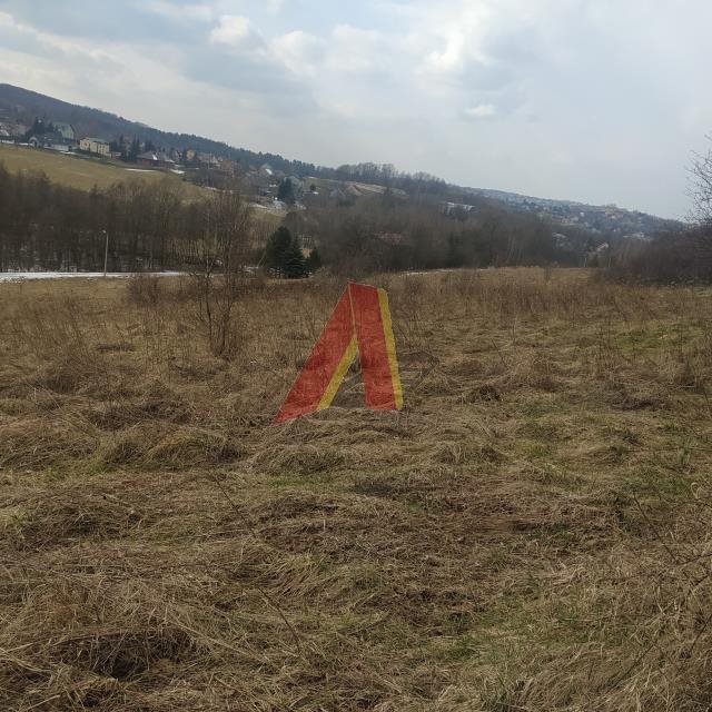 Działka budowlana na sprzedaż Raciborsko, raciborsko  24 200m2 Foto 1