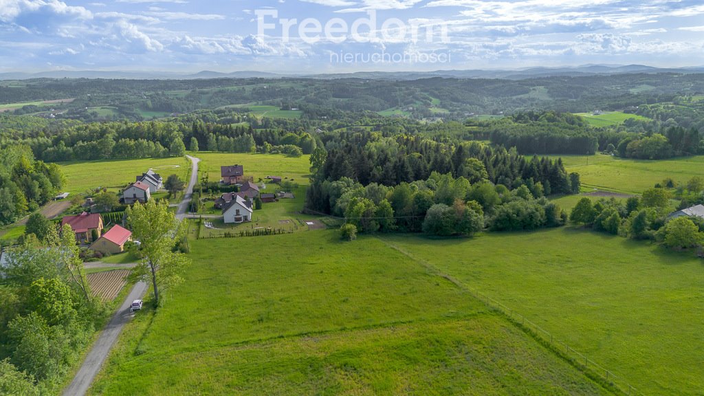 Działka budowlana na sprzedaż Rzepiennik Strzyżewski  1 883m2 Foto 1