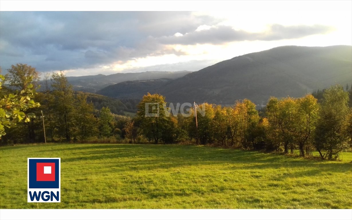 Działka siedliskowa na sprzedaż Ustroń, Równica  11 085m2 Foto 1