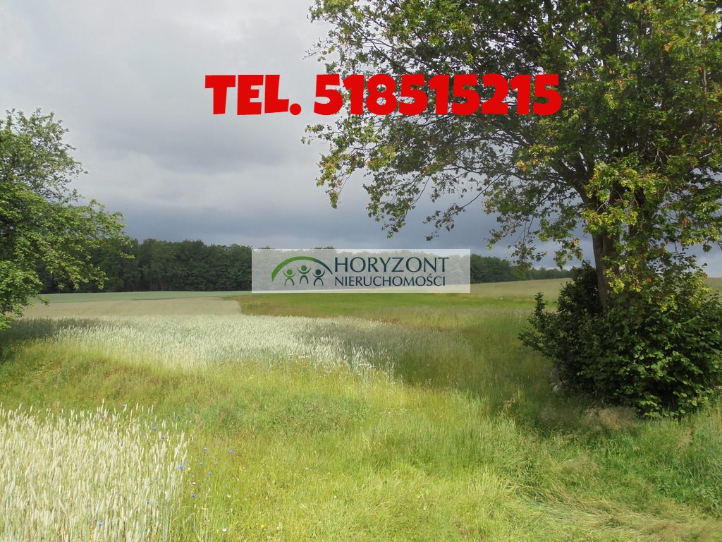 Działka 1000 m² z widokiem, uzbrojona, pod zabudowę Szemudzka Huta  1 000m2 Foto 1