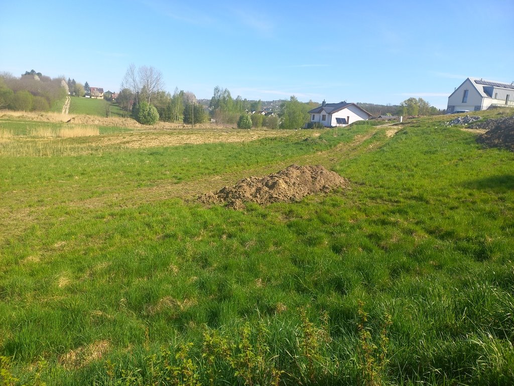 Działka budowlana na sprzedaż Tyczyn, Potoki  6 427m2 Foto 3