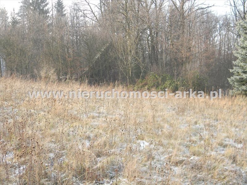 Działka budowlana na sprzedaż Limanowa 1 500m2 Foto 1 Działka budowlana na sprzedaż Limanowa 1 500m2 Foto 1