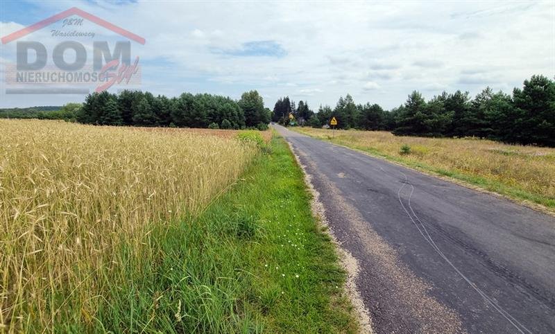 Działka budowlana na sprzedaż Stara Korytnica  13 800m2 Foto 7