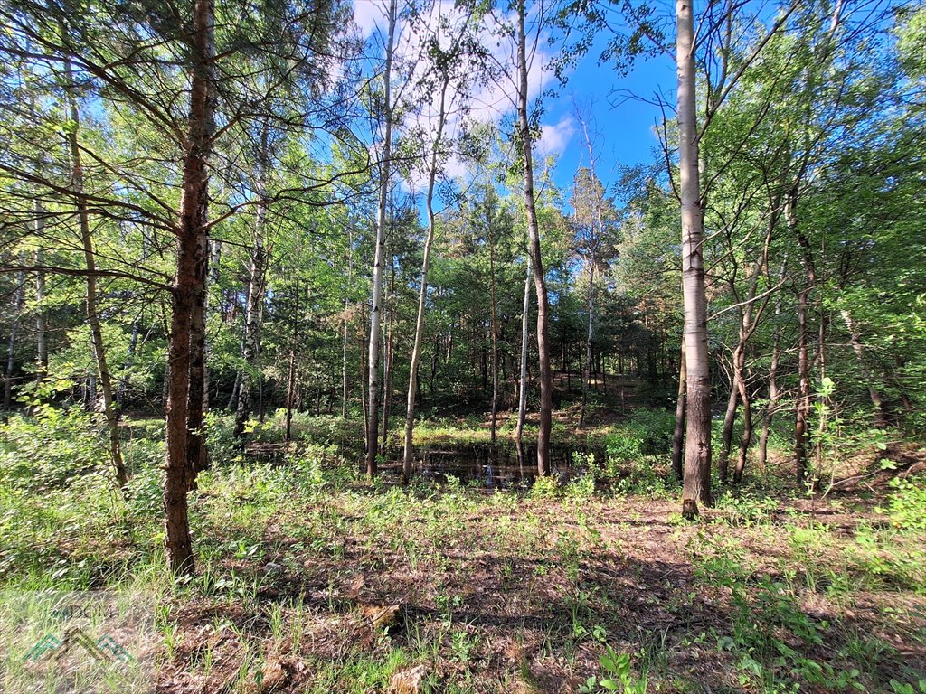 Dom na sprzedaż Laski  180m2 Foto 6