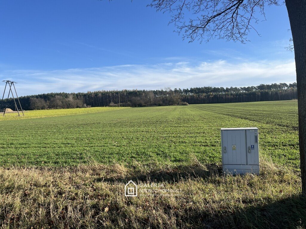 Działka inwestycyjna 2,2 ha z frontem 52 m - polecam Bolechowo  22 281m2 Foto 1