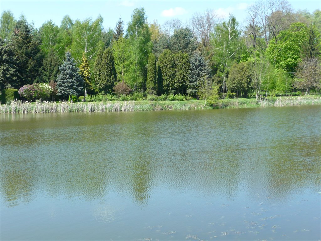 Działka rekreacyjna na sprzedaż powiat kutnowski  17 700m2 Foto 17