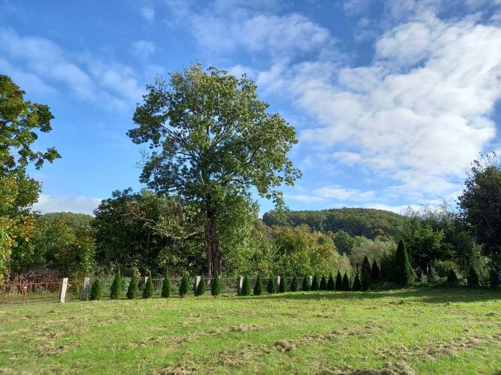 Dom na sprzedaż Sady Dolne, Sady Dolne  180m2 Foto 9