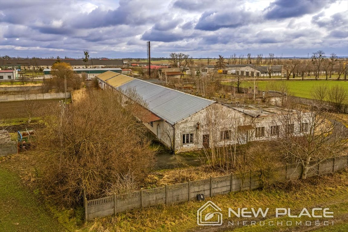 Magazyn na sprzedaż Jankowice Wielkie  2 052m2 Foto 5