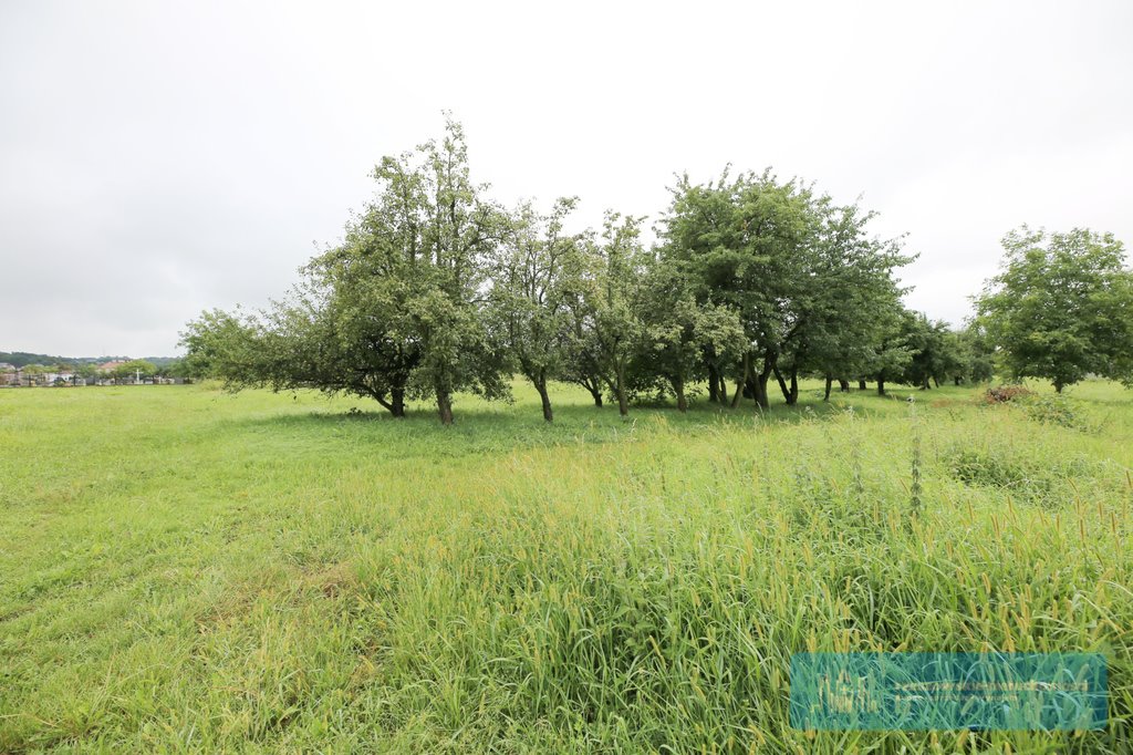 Działka budowlana na sprzedaż Malawa  2 200m2 Foto 1