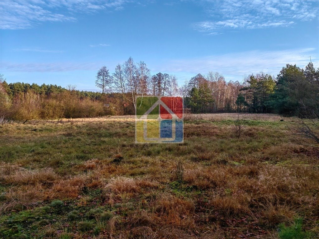 Działka leśna z prawem budowy na sprzedaż Szczawin Kościelny  48 000m2 Foto 4