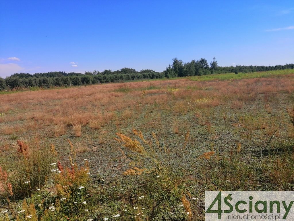 Działka budowlana na sprzedaż Grobice  1 901m2 Foto 10