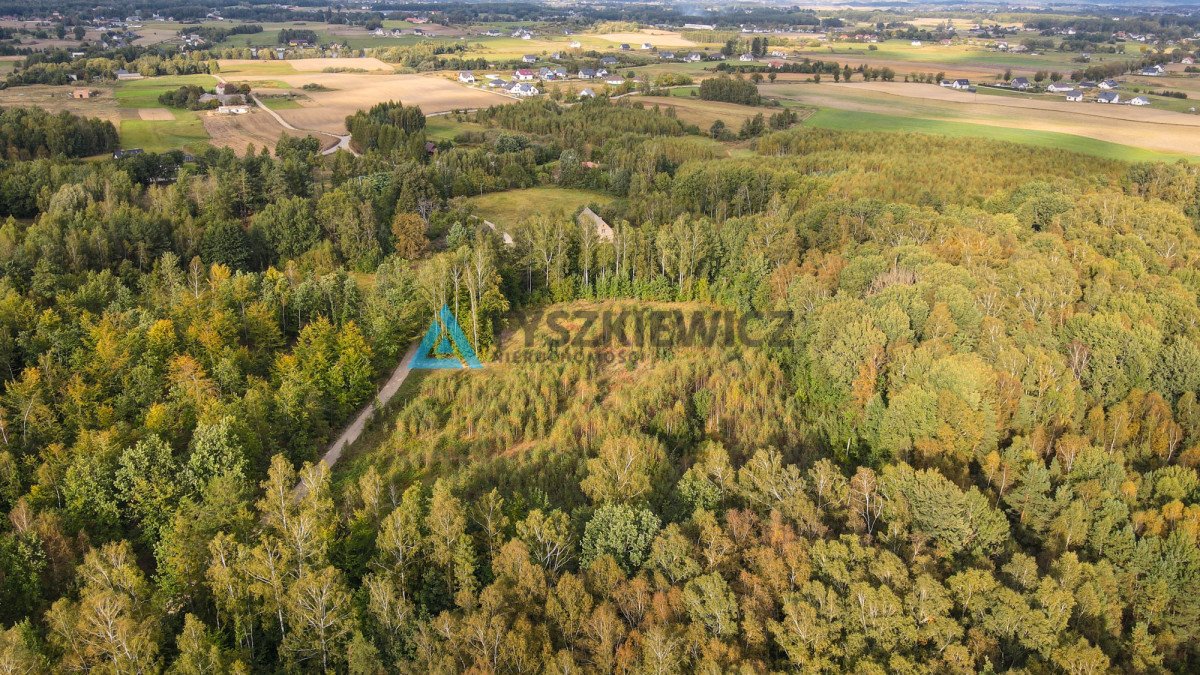 Działka budowlana na sprzedaż Skrzeszewo Żukowskie, Leśna  11 811m2 Foto 9