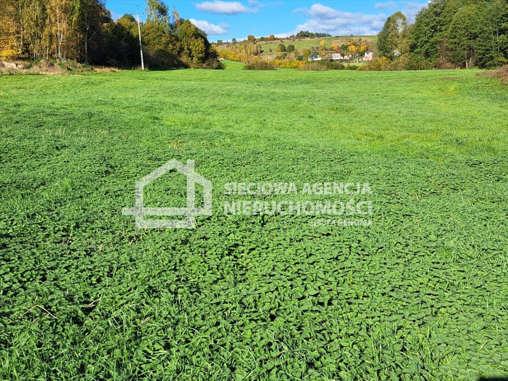 Działka rolna na sprzedaż Rąty  31 000m2 Foto 4