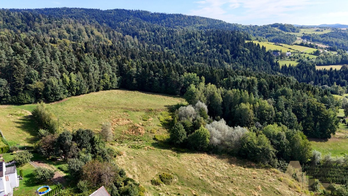 Działka rekreacyjna na sprzedaż Bartkowa-Posadowa  21 556m2 Foto 3