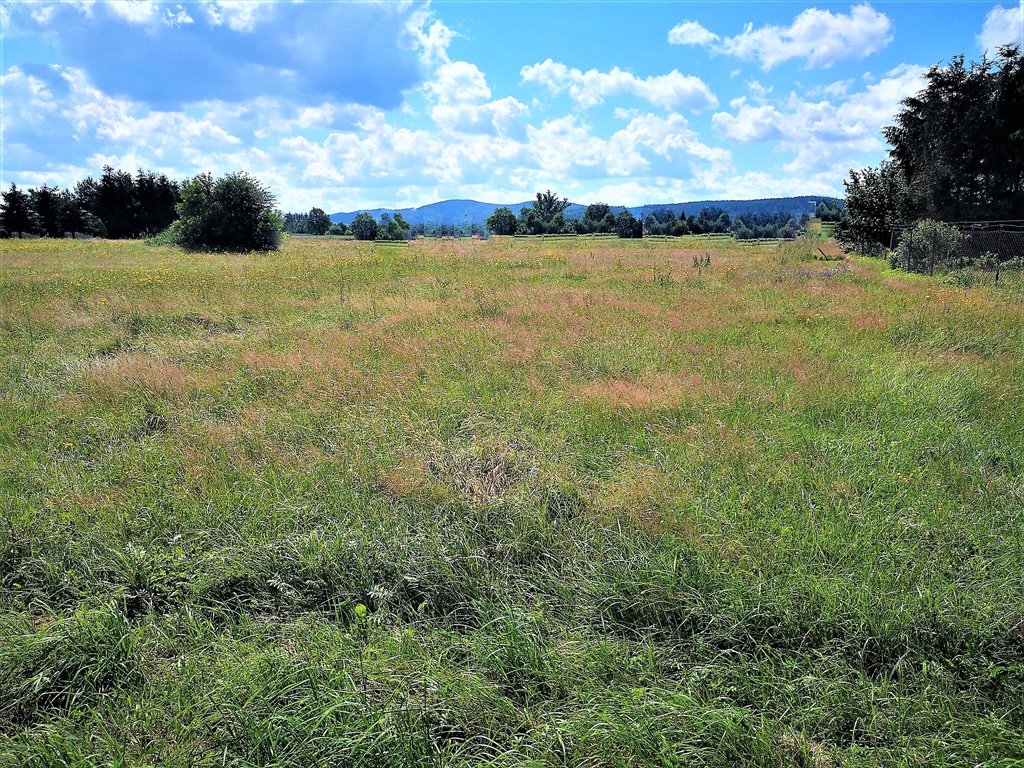 Działka budowlana na sprzedaż Kryg  20m2 Foto 2