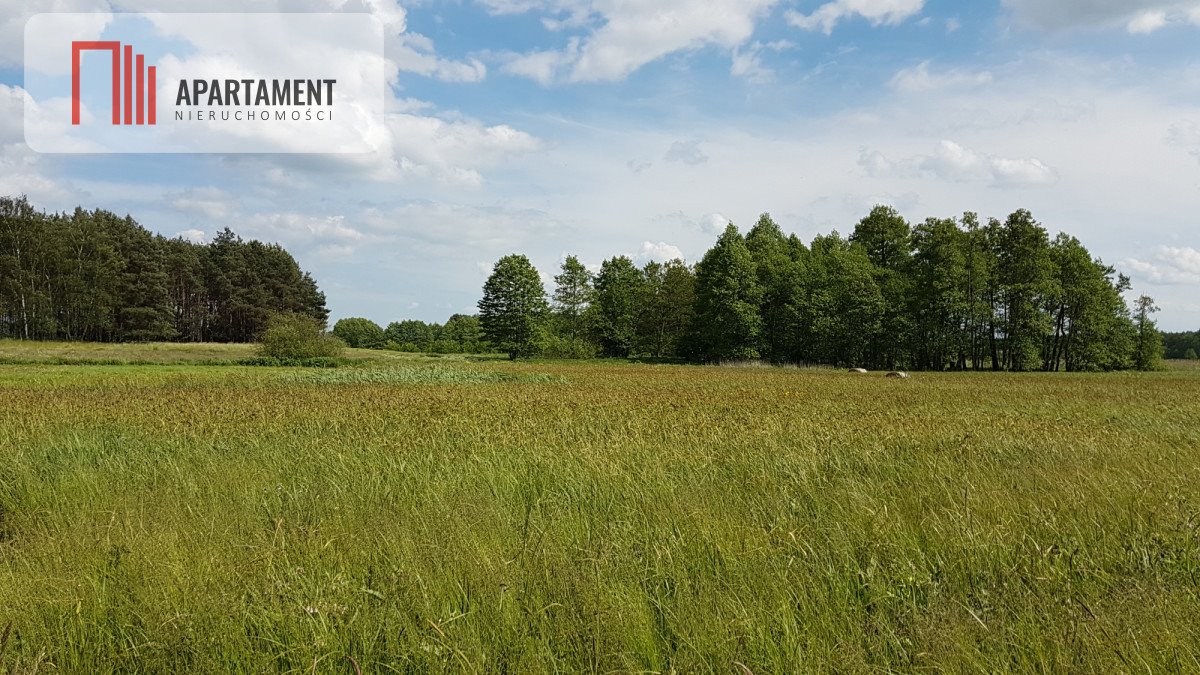 Działka budowlana na sprzedaż Kobylanka  70 700m2 Foto 4