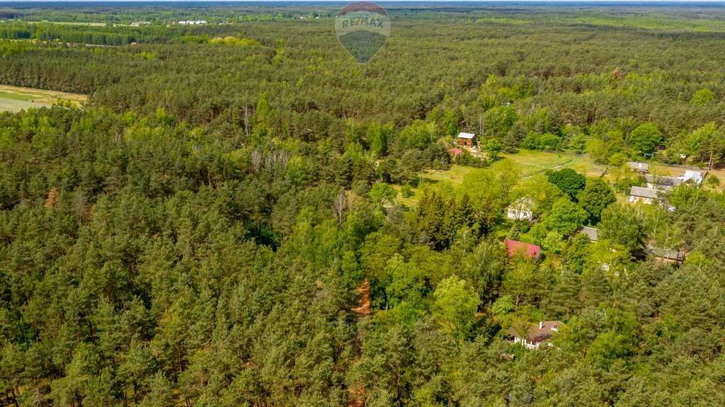 Działka leśna z prawem budowy na sprzedaż Rynia, Ignacego Paderewskiego  4 461m2 Foto 10