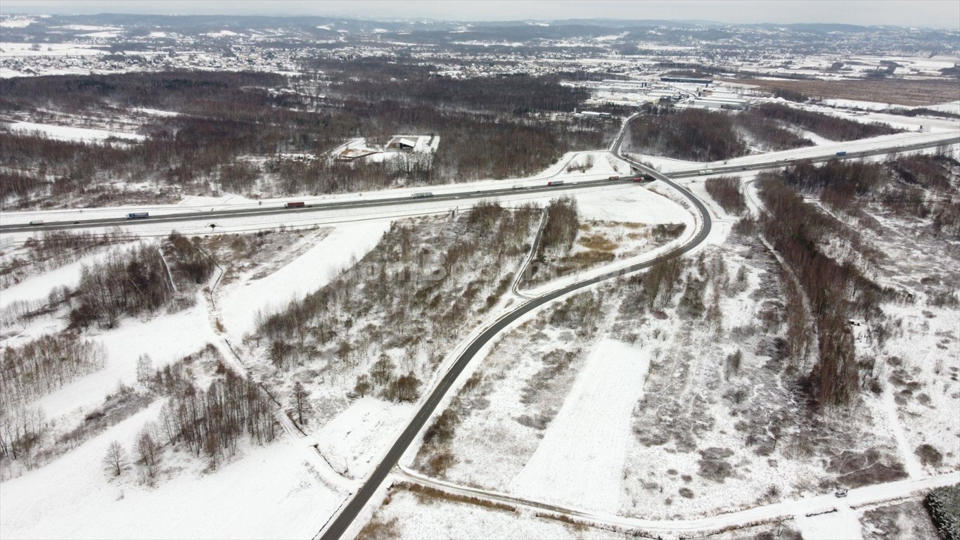 Działka przemysłowo-handlowa na sprzedaż Borek  3 988m2 Foto 12