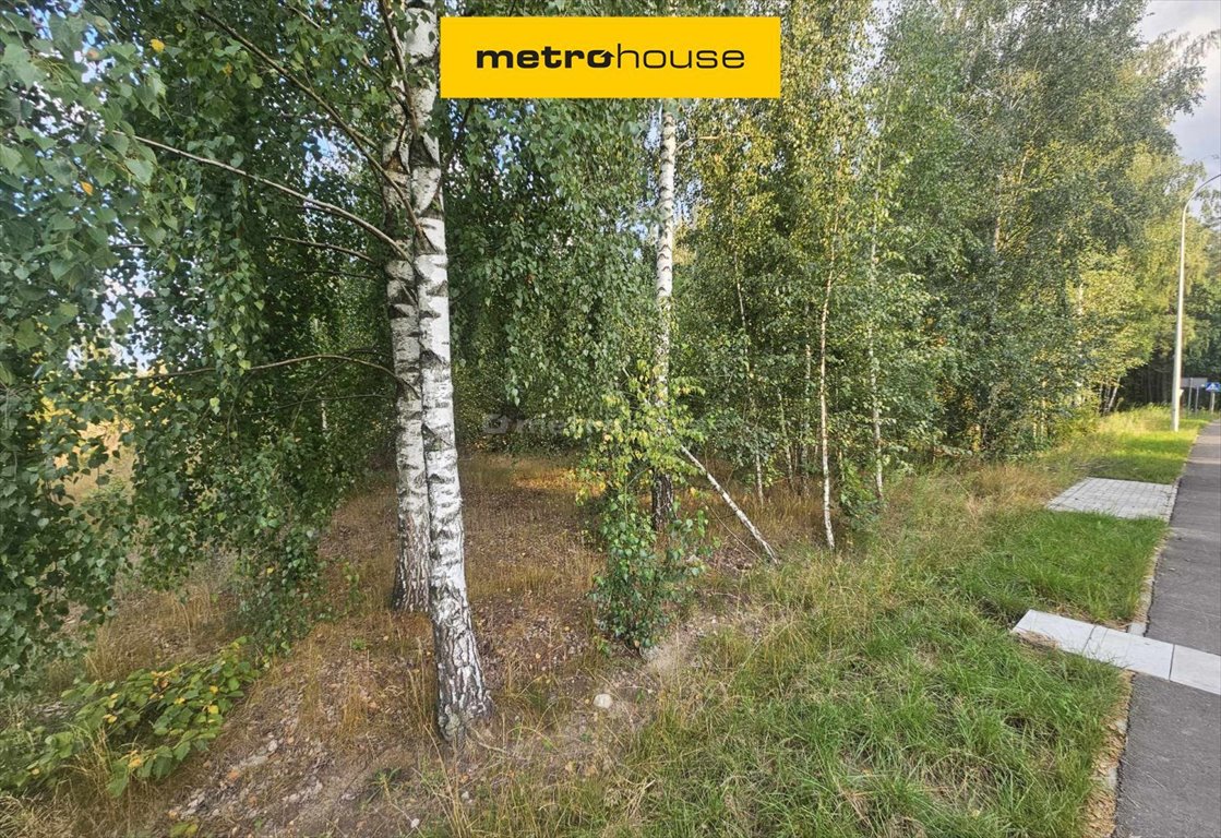 Działka budowlana na sprzedaż Teodorów  6 978m2 Foto 1