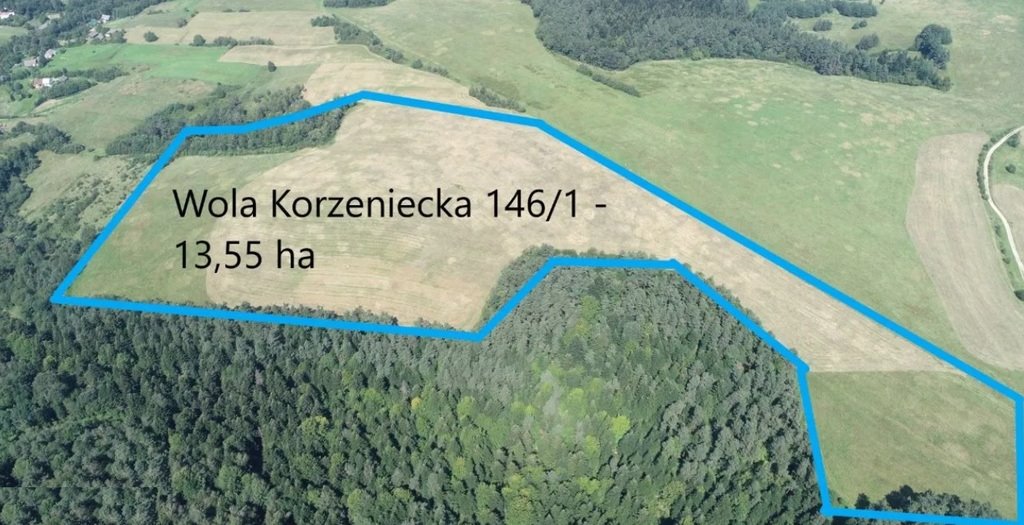 Działka rolna na sprzedaż Wola Korzeniecka  135 500m2 Foto 2