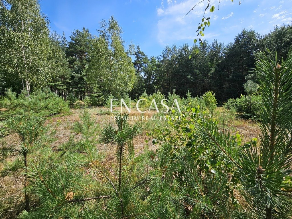 Działka budowlana na sprzedaż Osowiec, Rodzinna  1 267m2 Foto 5