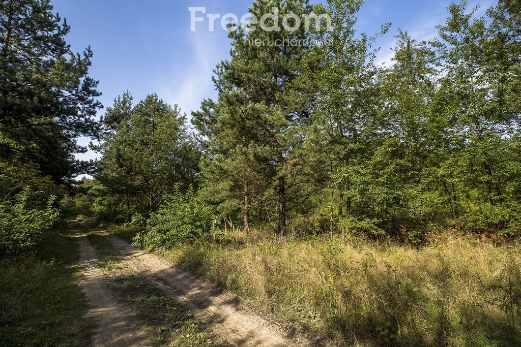 Działka budowlana na sprzedaż Nisko  9 880m2 Foto 4